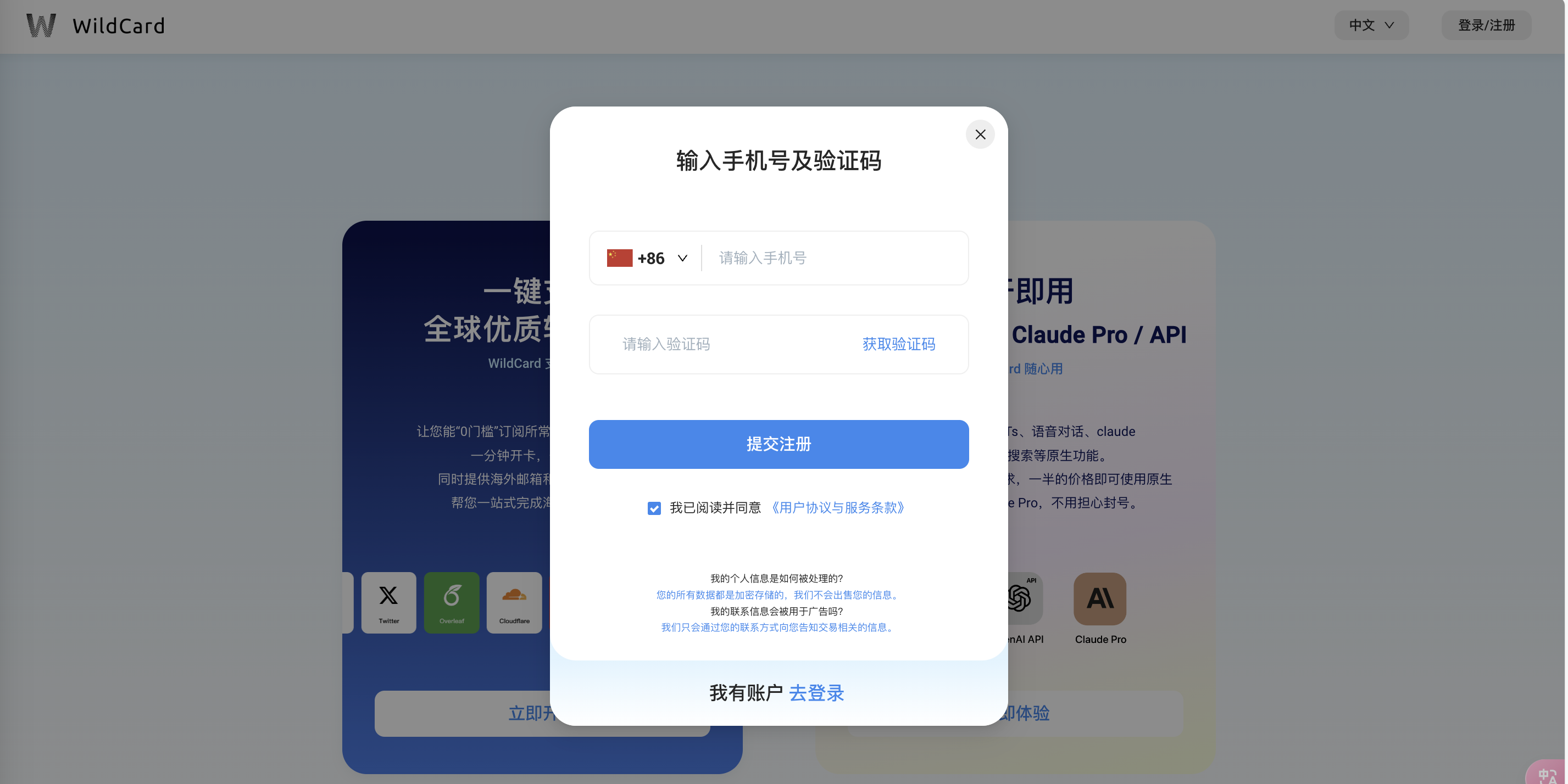 image-20241227131337787